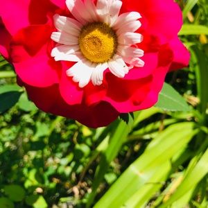 Meet your Posher, Kara